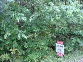 1457 Northeast Kutenai Trail