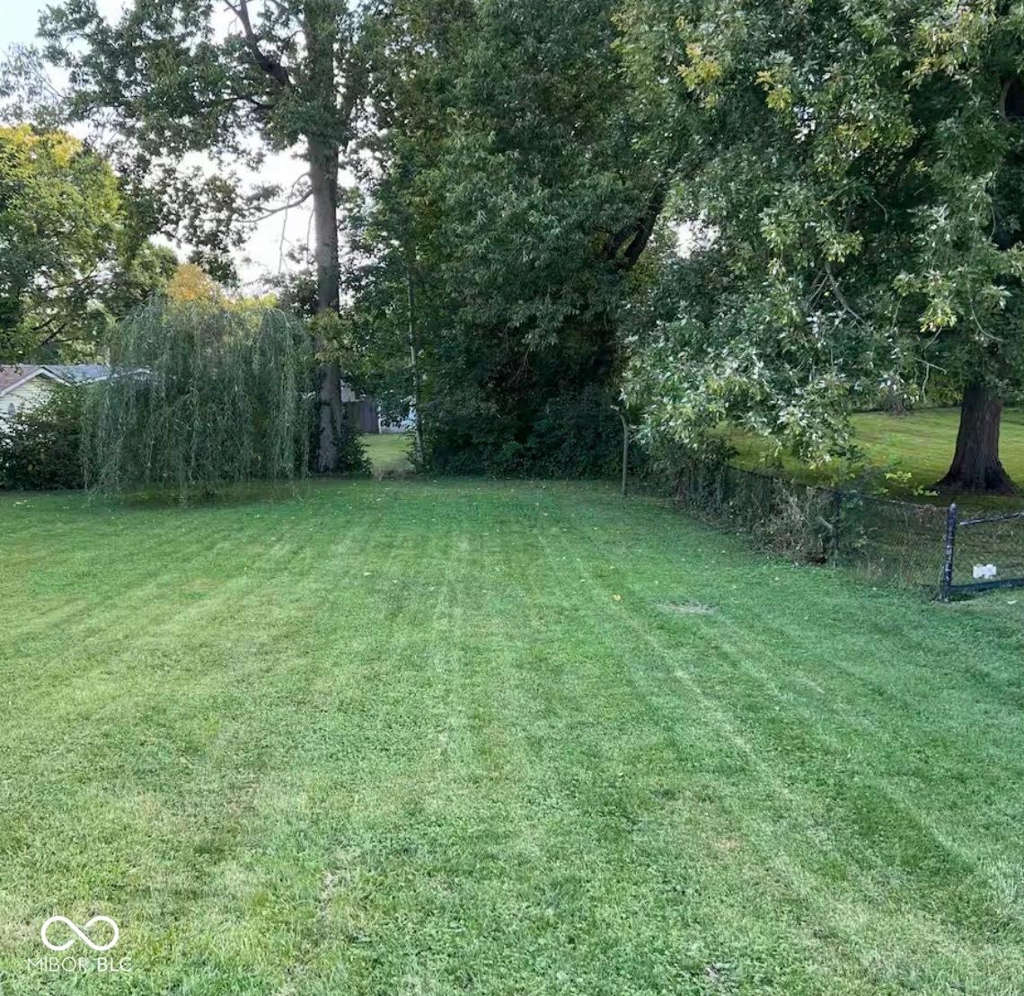 Image 3: Yard