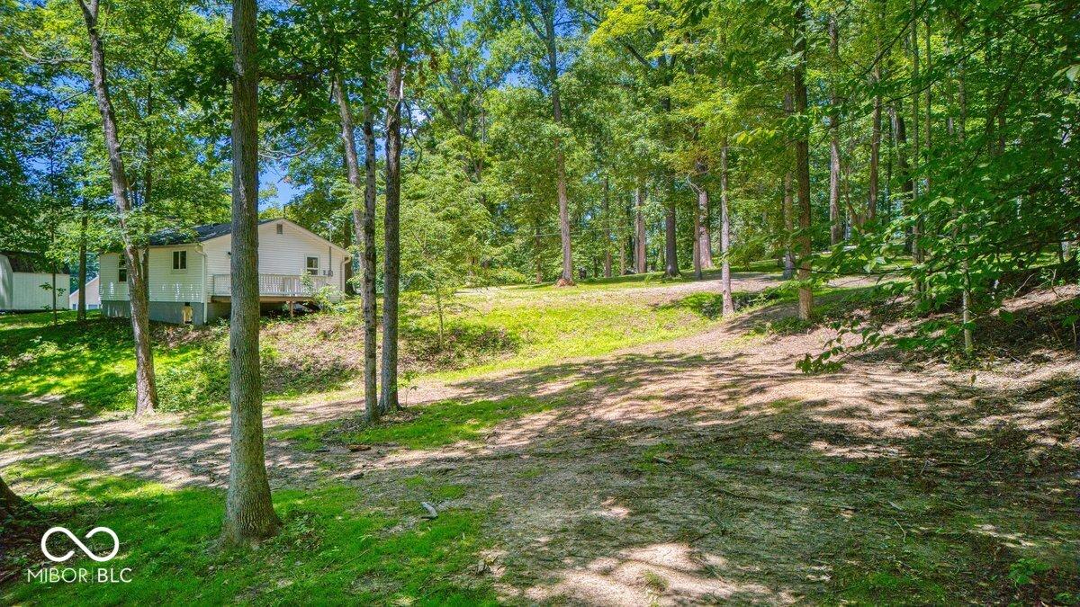 Image 4: Yard