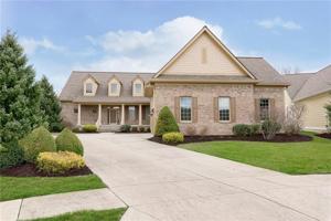 11647 Weeping Willow