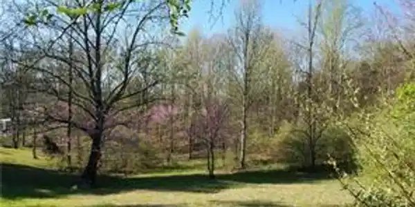 0 Hackberry Drive