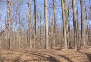 1061 East Niagara Trail