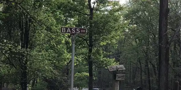 8418 Bass