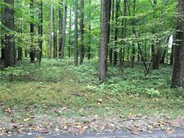 Lot 69 Lakeshore Dr