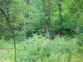 6101 Southshore