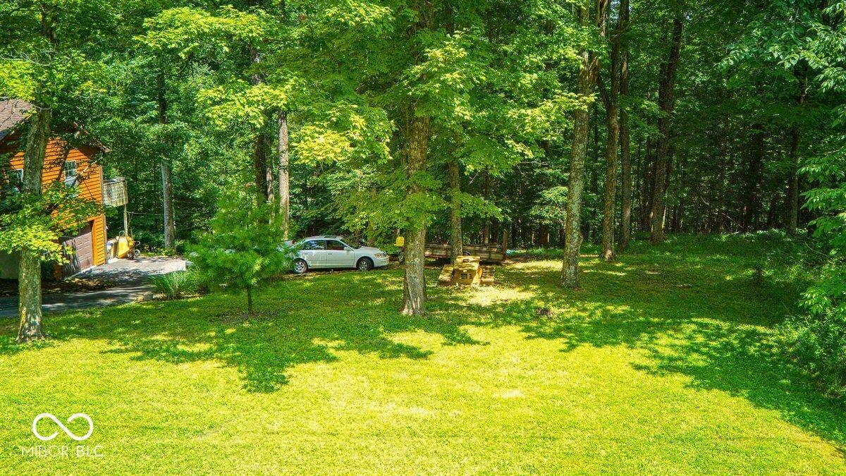 Image 4: Yard Image 4: Yard