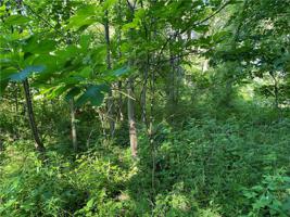 7 Wildwood Trail