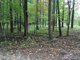 Lot 72 Lakeshore Dr