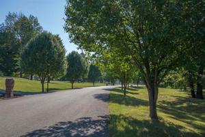 Lot 8A Pedigo Bay