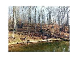 Lot 00 ANTELOPE Drive