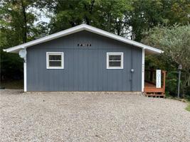 6406 Pheasant