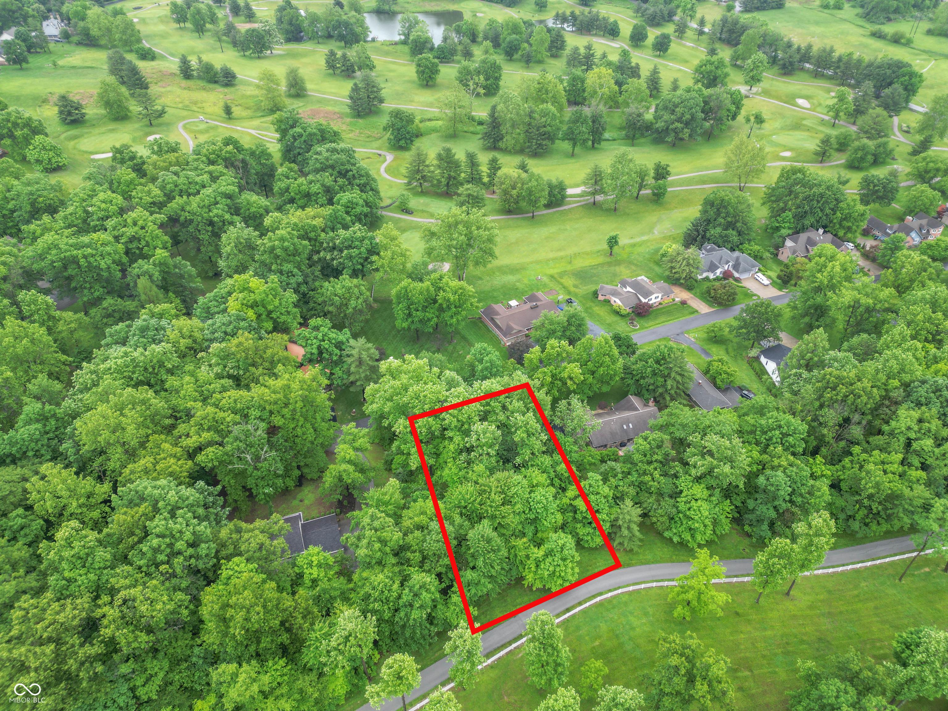 Image 3: Aerial View