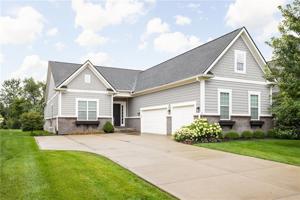 11574 Weeping Willow