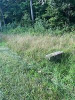 1233 Mohican