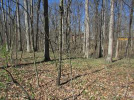 326 Mill Springs