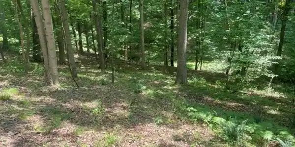 00 Aspen