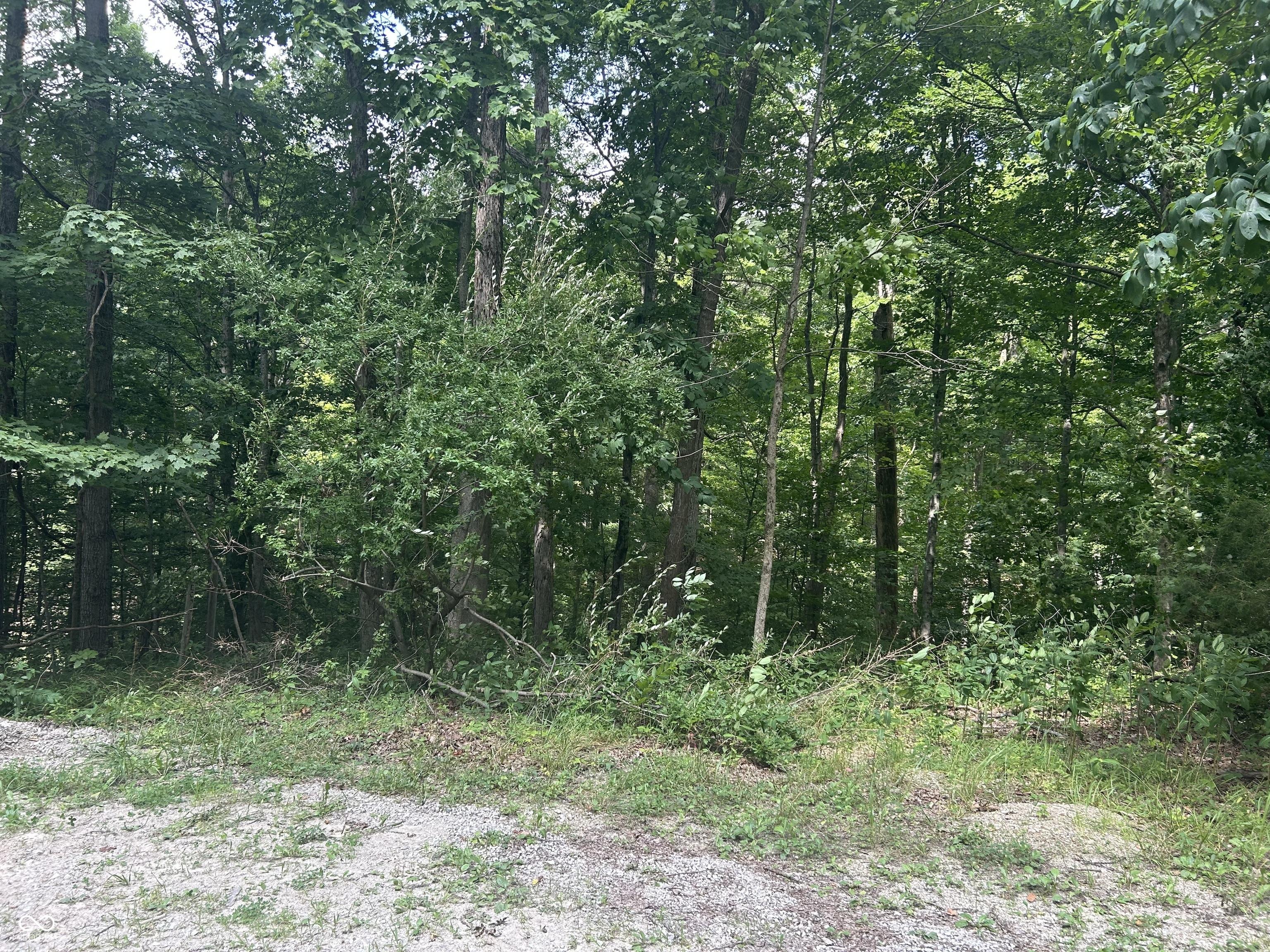Image 1: View Image 1: View