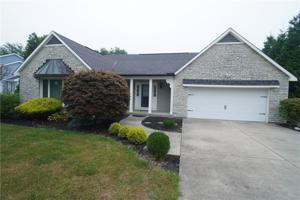 42 Callery Pear