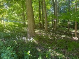 Lot 3 Mallard Dr