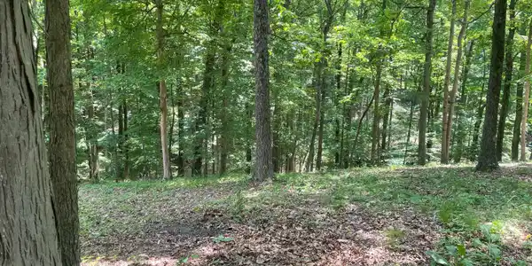 0 Aspen