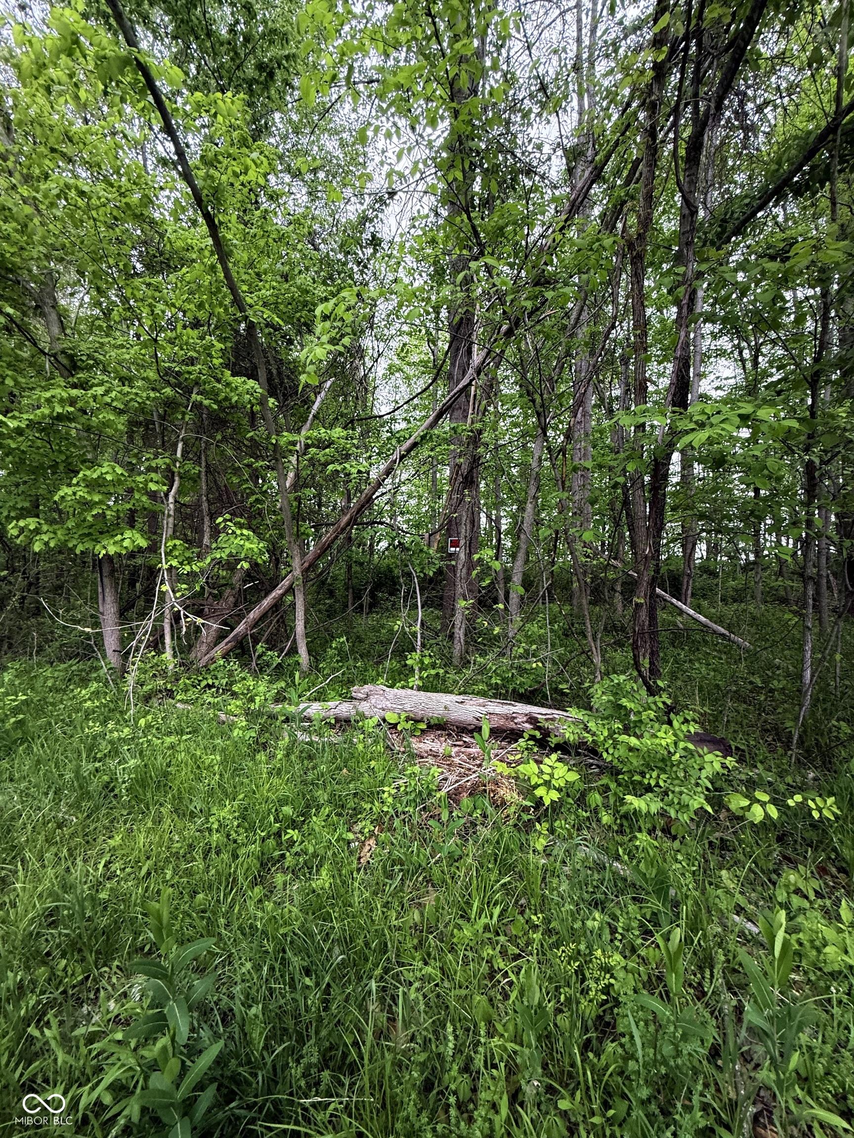 Image 2 Image 2