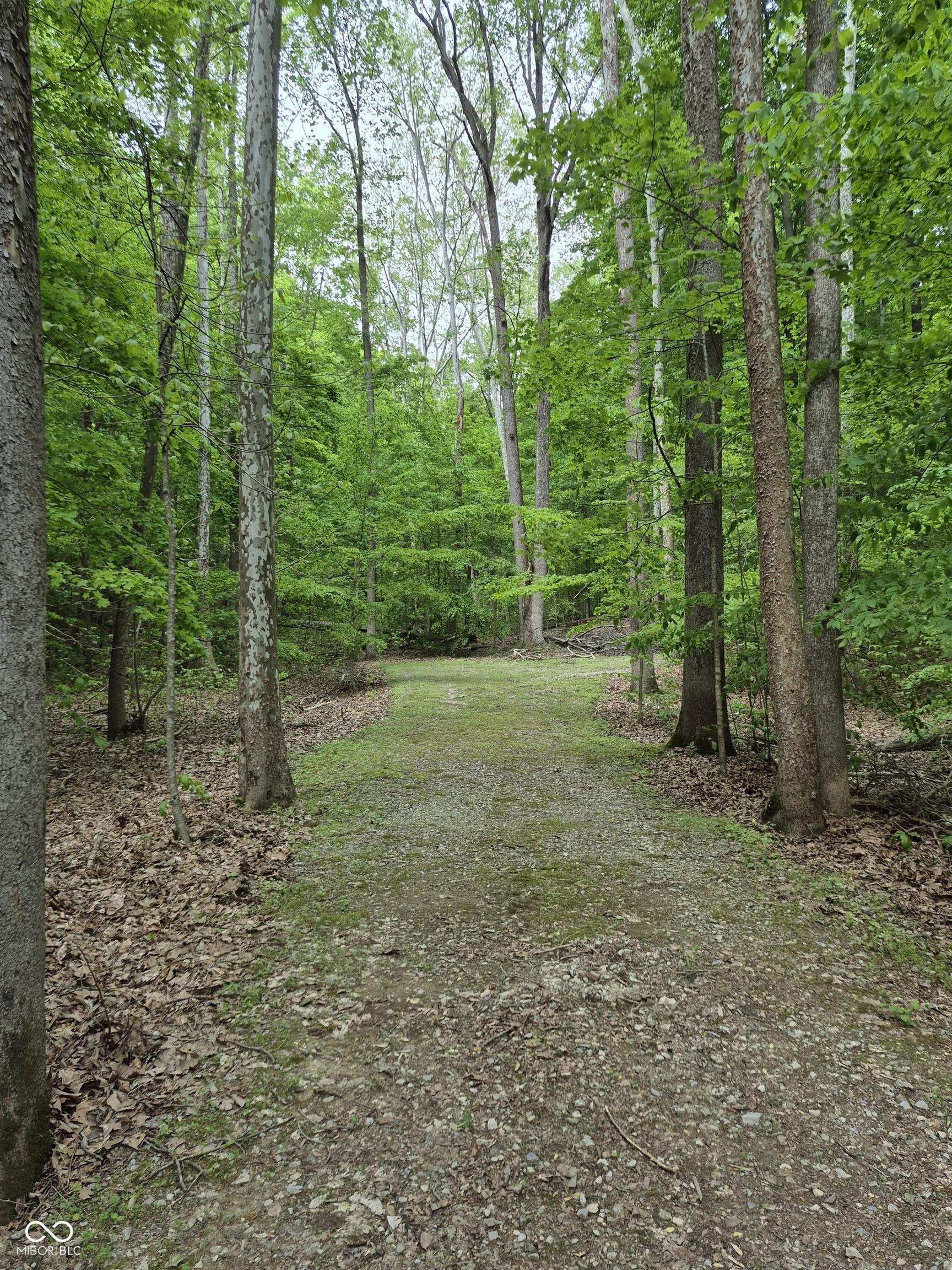 Image 4 Image 4