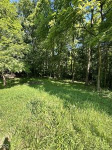 3 Jefferson Valley
