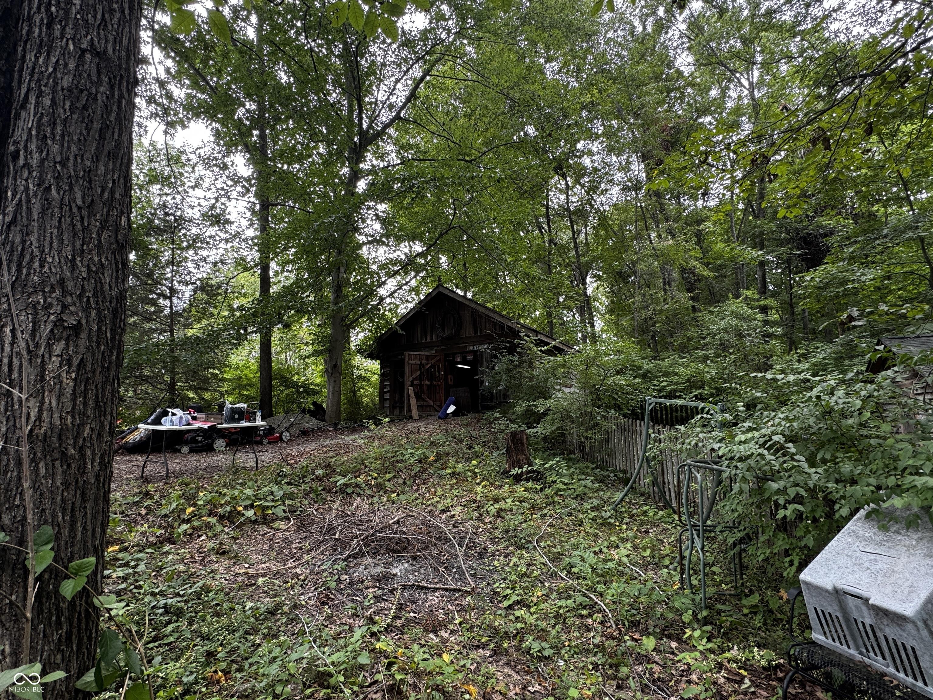 Image 4