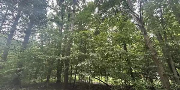 Image 3: View