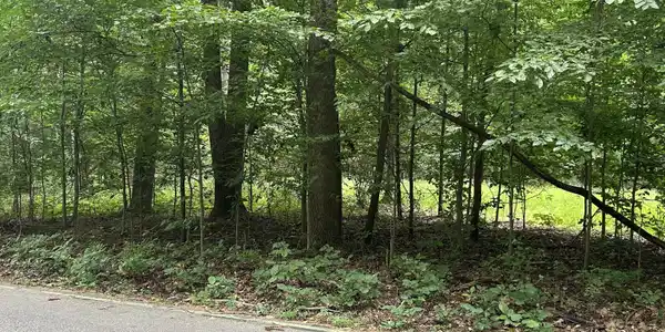 Image 4: View