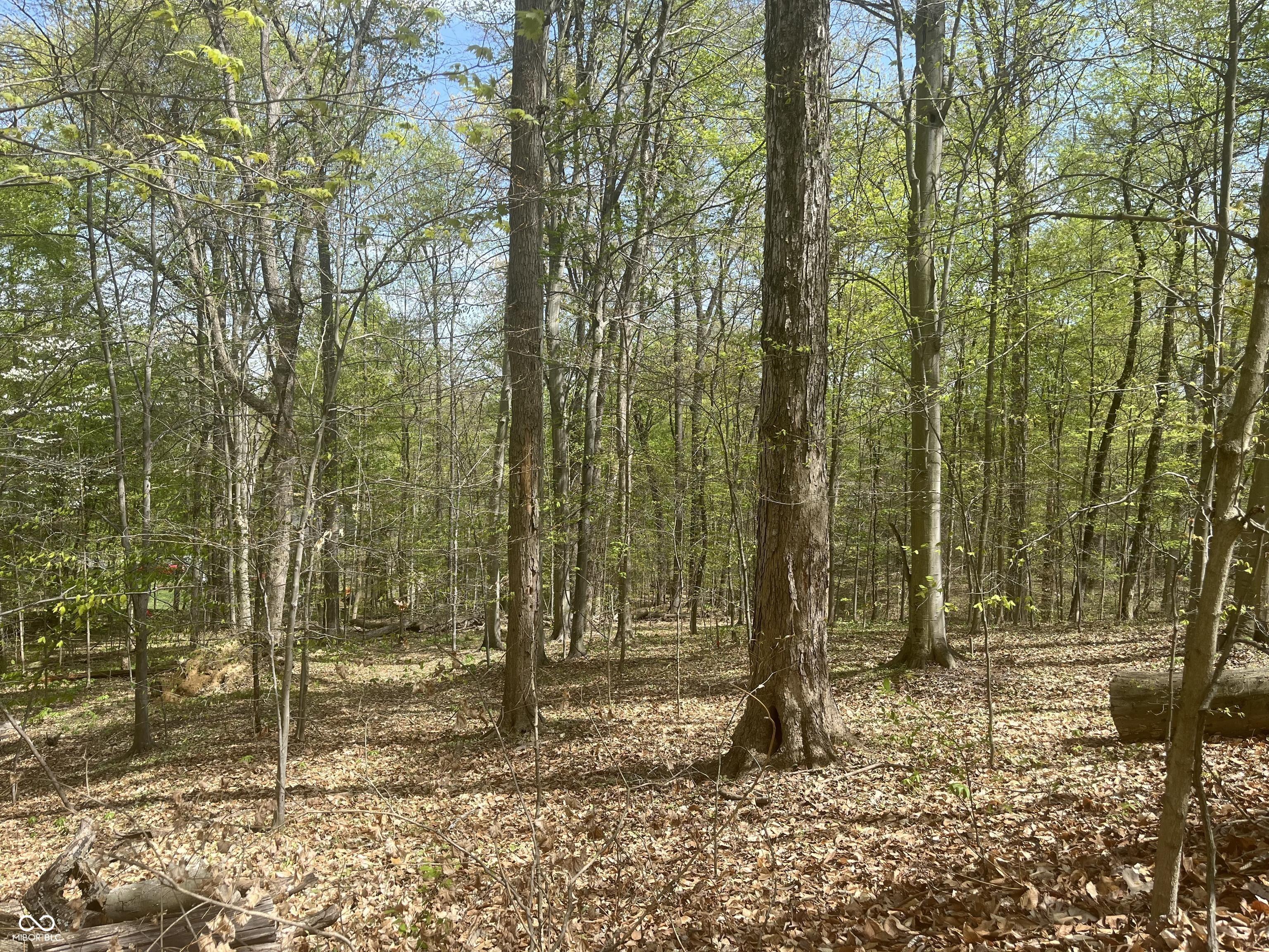 Image 1: View Image 1: View
