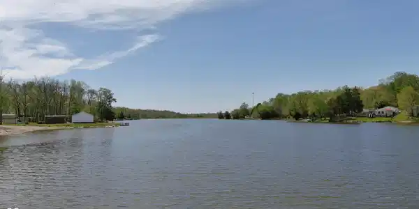 Image 4 Image 4