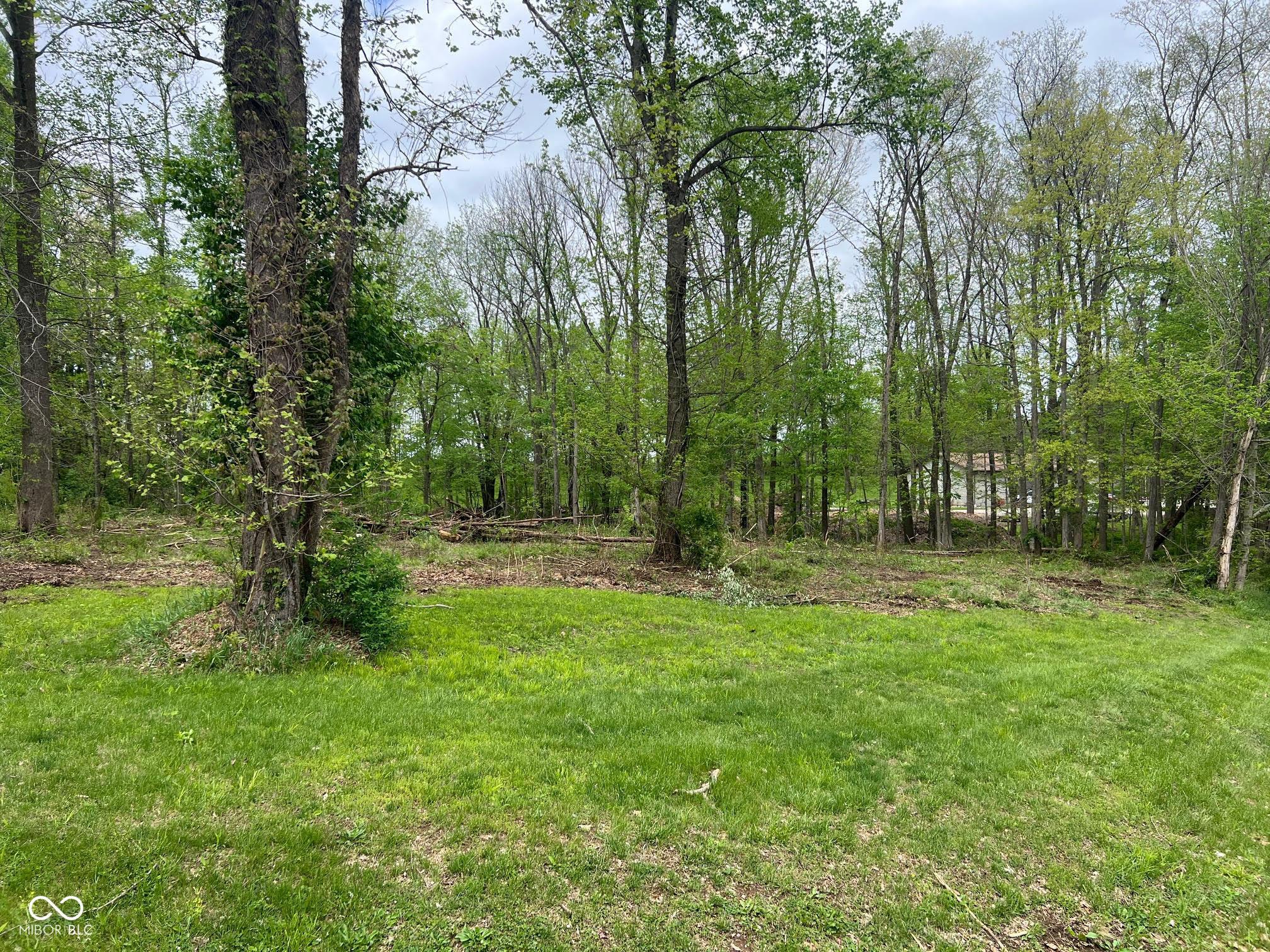 Image 2: Lot