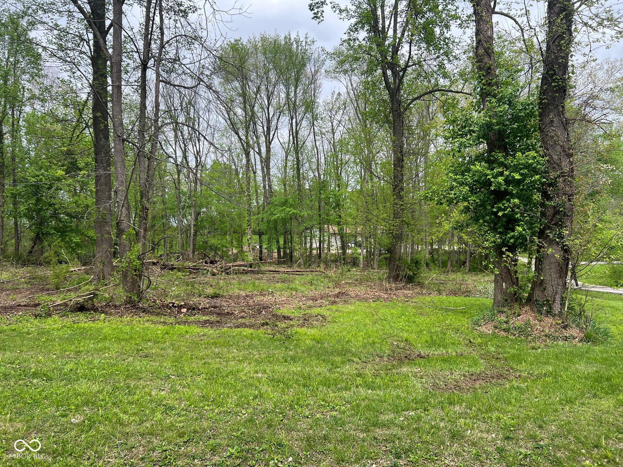 Image 3: Lot