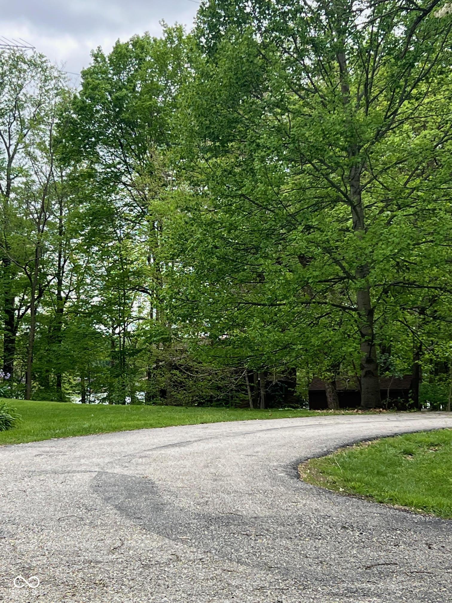 Image 4: View
