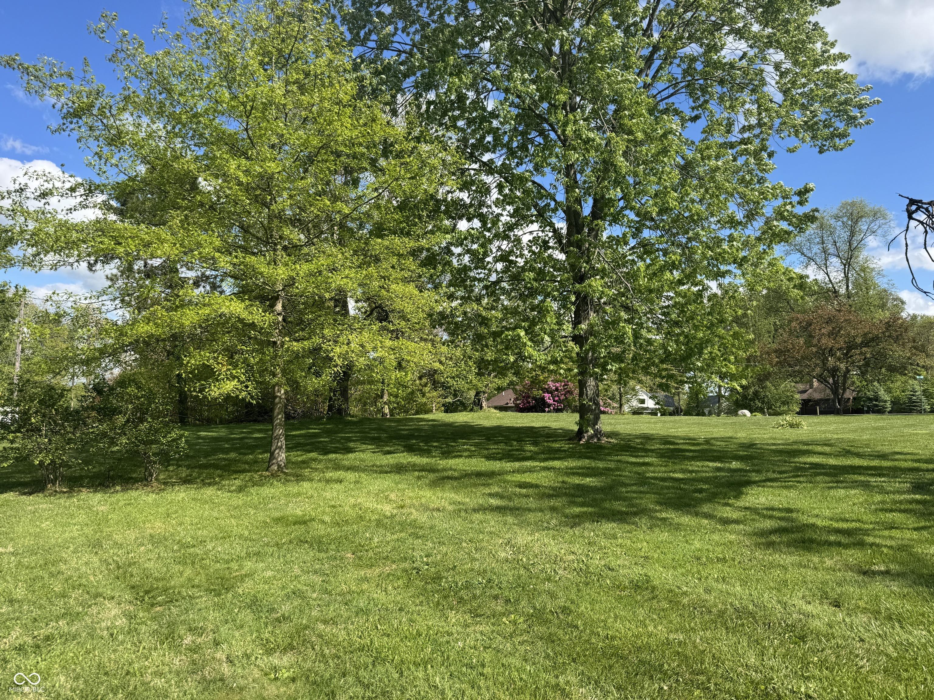 Image 1 Image 1