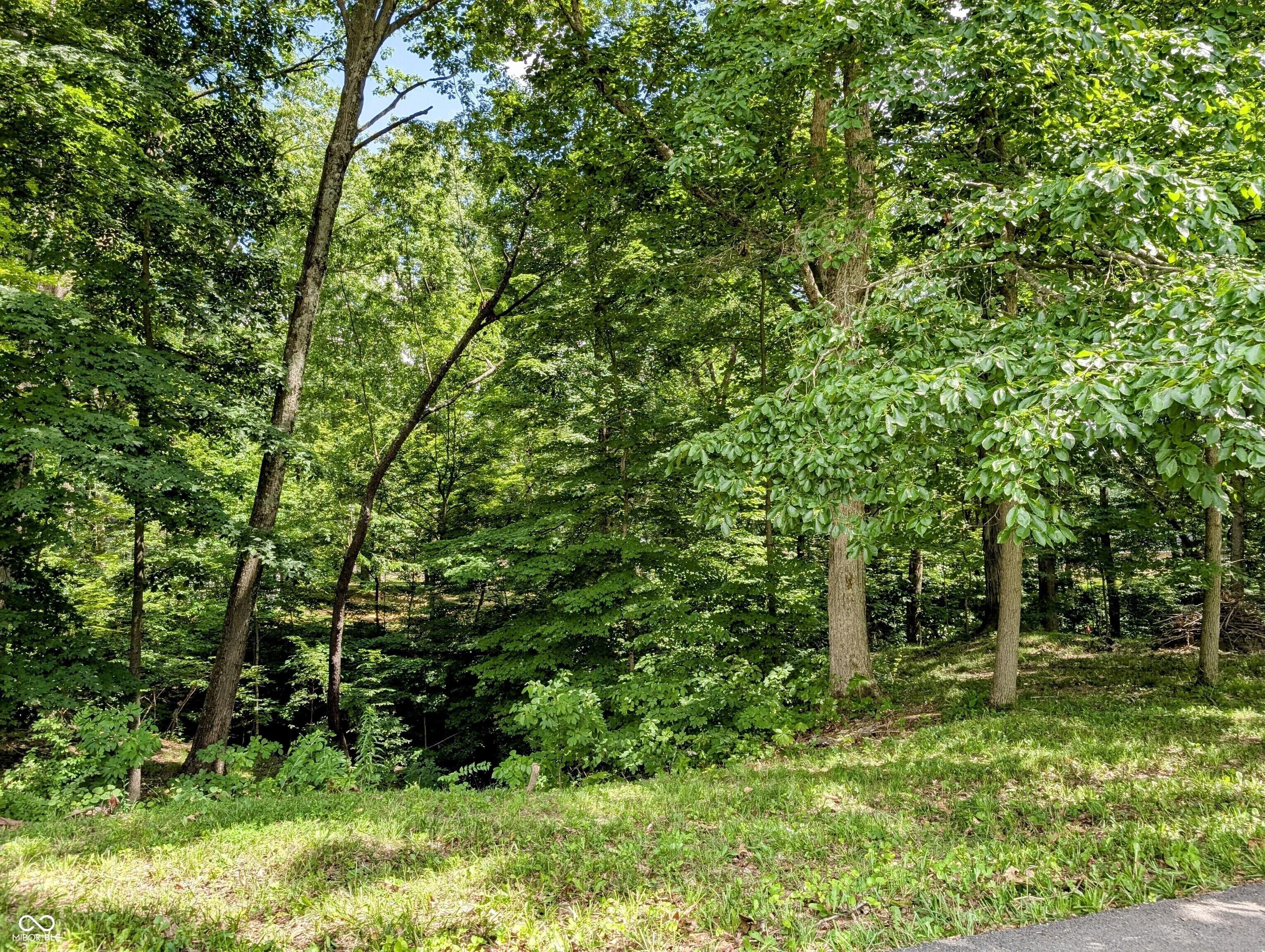 Image 1 Image 1