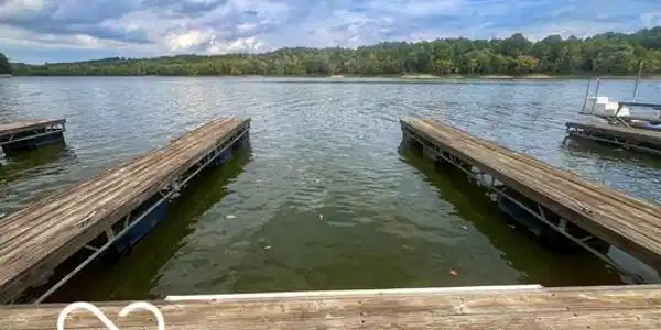 Image 4 Image 4