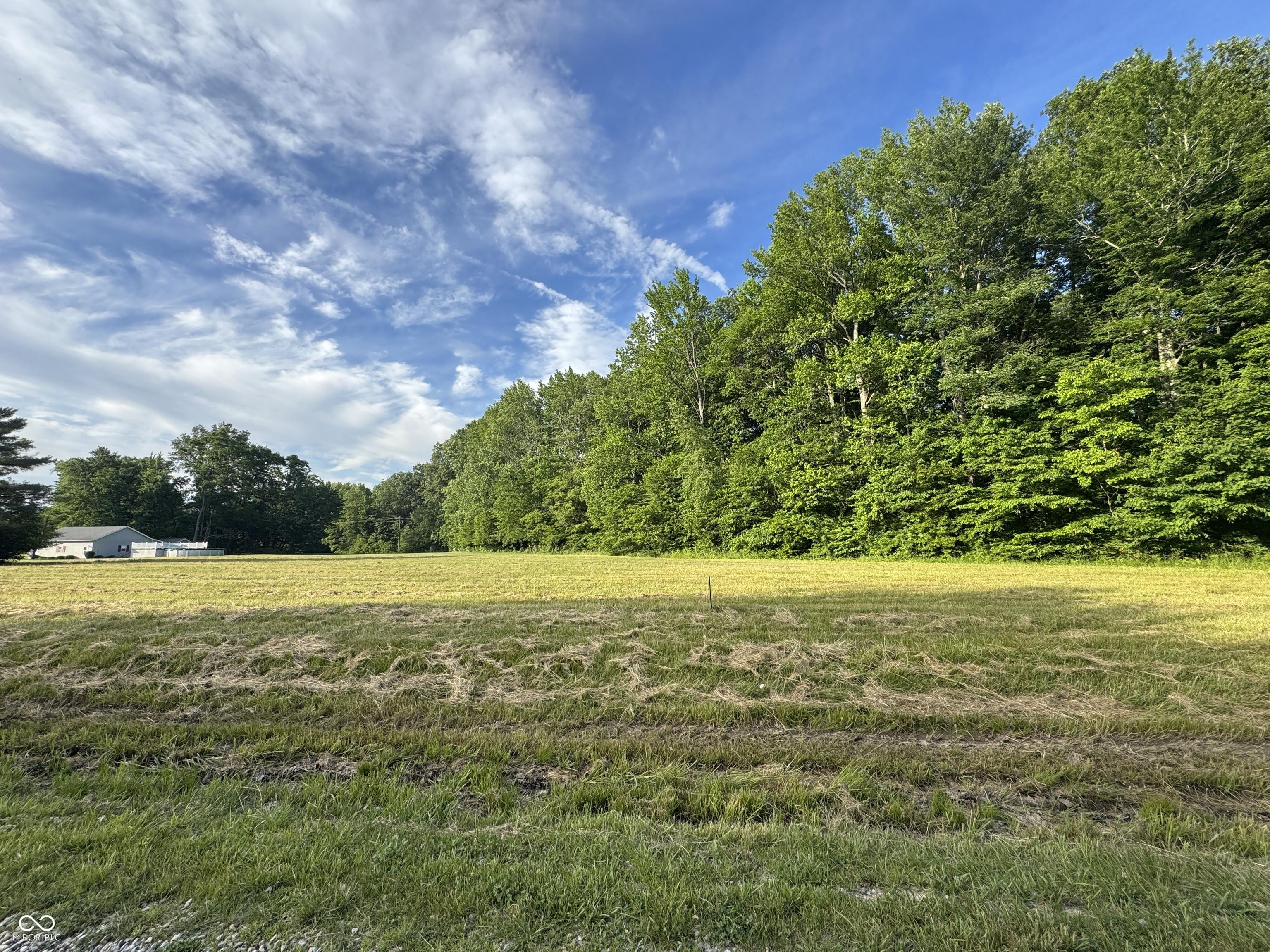 Image 1 Image 1