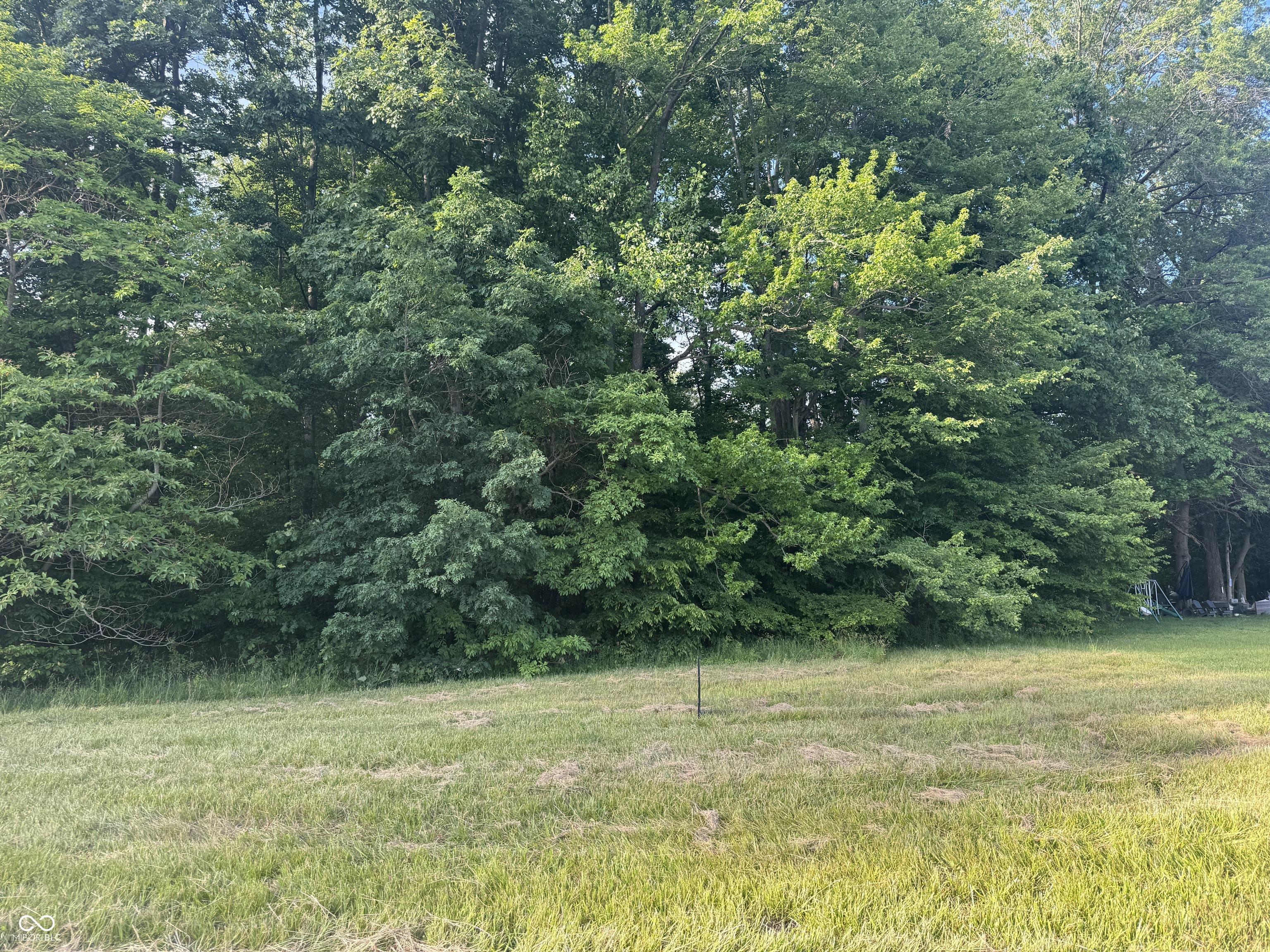 Image 4 Image 4