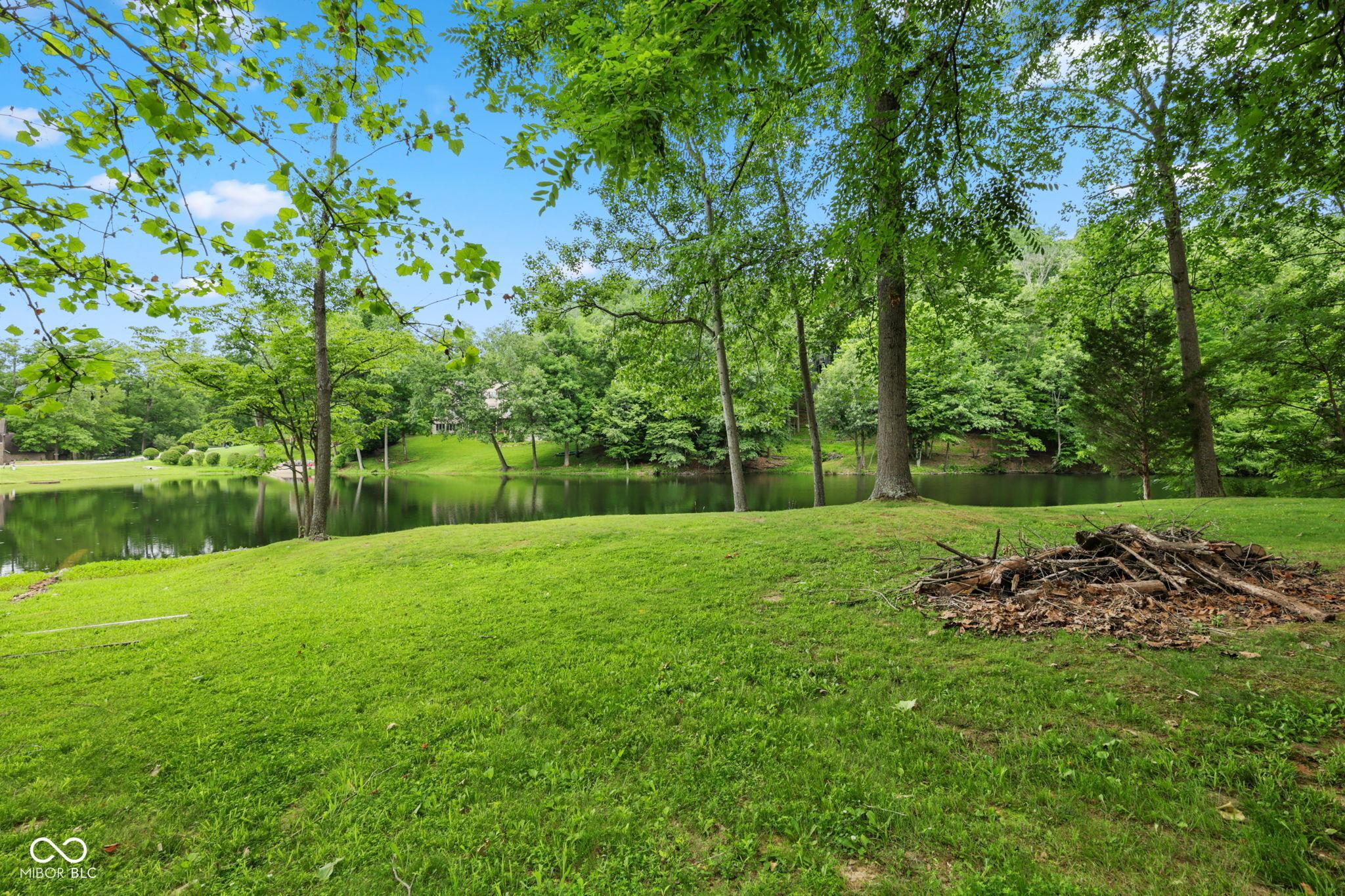 Image 3: Yard