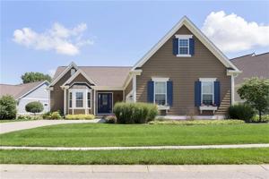 11582 Weeping Willow