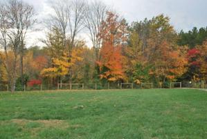 236 Foxcliff W Drive