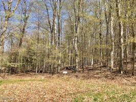 Otter Ridge