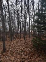 11010 Shawnee Trail