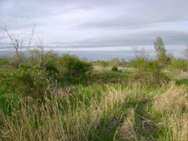 W Merkey Road