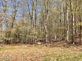 Otter Ridge
