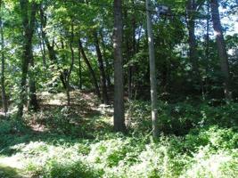 Birchmont