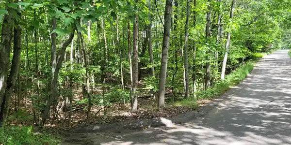 N Silver Ridge