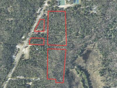 10 Acre+/- BR US 31
